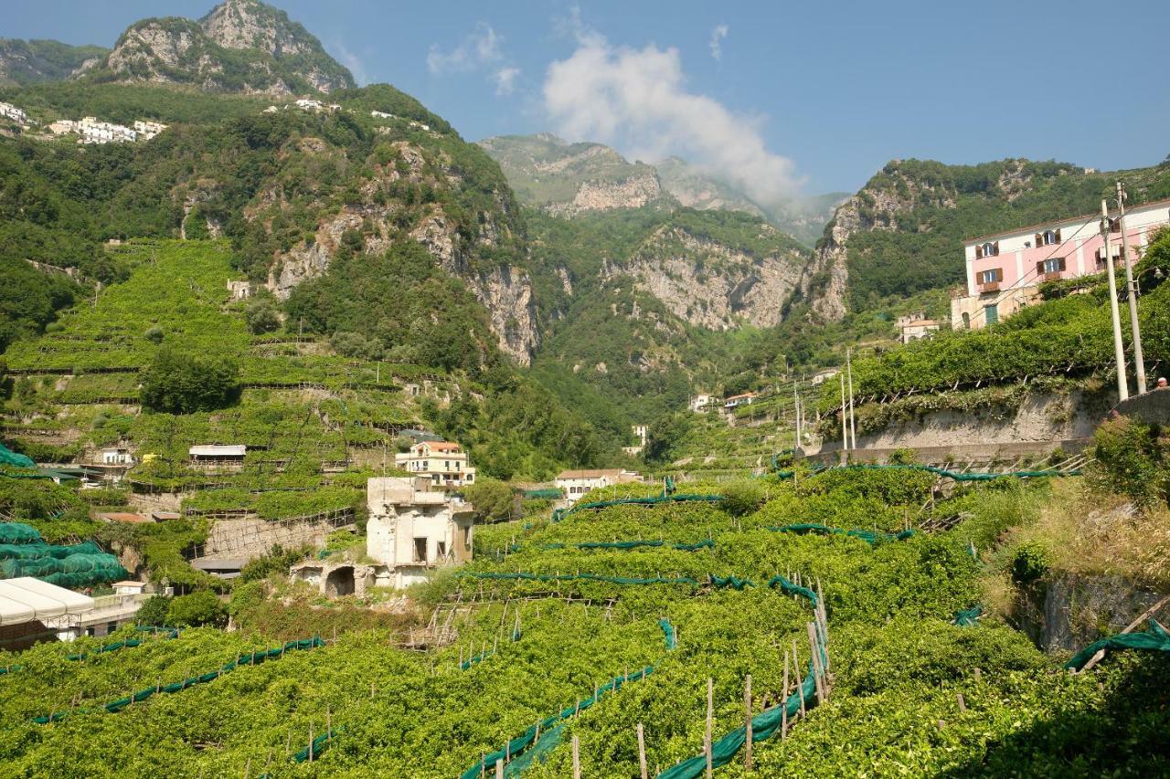 Villa Pricitella Amalfi Ngoại thất bức ảnh